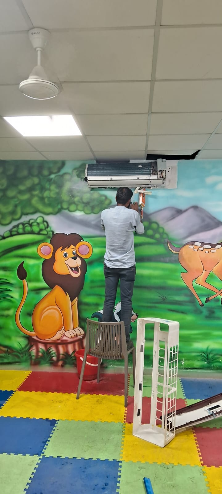 Custom Wall Murals